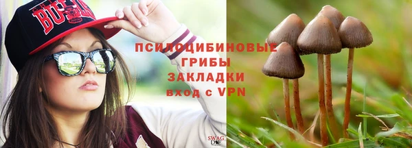 первитин Надым