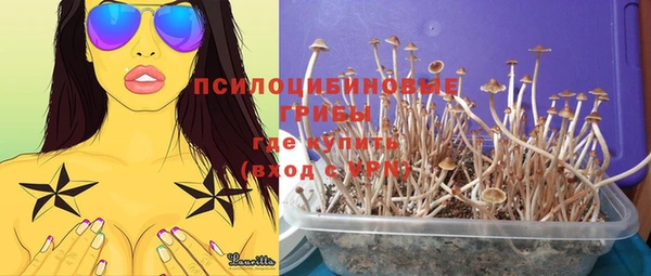 марки lsd Нея