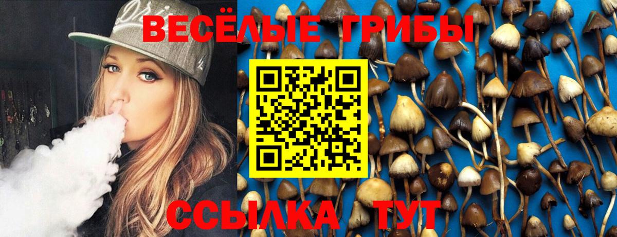 Галлюциногенные грибы ЛСД  Вход с VPN  Псилоцибиновые грибы MAGIC MUSHROOMS  что такое   Иваново 